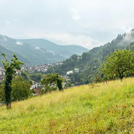 Am Rain Appartement Weisenbach